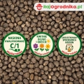 Łubin Żółty na poplon nasiona do siewu 1kg