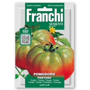 Pomidor Pantano nasiona 1,5 g - FRANCHI