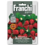 Truskawka Quattro Stagioni nasiona 0,5 g - FRANCHI