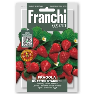 Truskawka Quattro Stagioni nasiona 0,5 g - FRANCHI