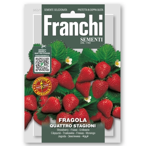 Truskawka Quattro Stagioni nasiona 0,5 g - FRANCHI