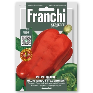 Papryka Macio F1 nasiona 0,15g - FRANCHI