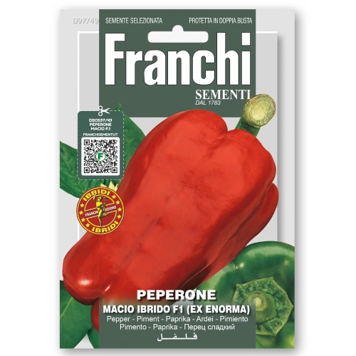 Papryka Macio F1 nasiona 0,15g - FRANCHI