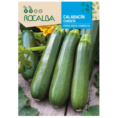 Cukinia Verde Mata Compacta odmiana plenna o licznych zielonych owocach nasiona 8 g - Rocalba