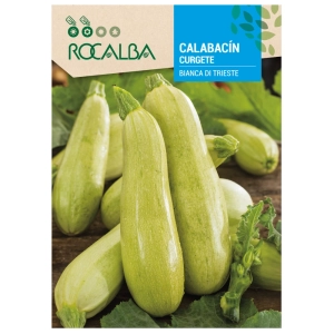 Cukinia Bianca di Trieste odmiana plenna o licznych jasnozielonych owocach nasiona 8 g - Rocalba