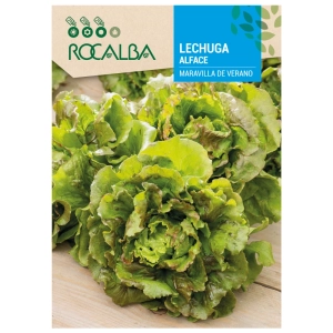 Sałata Maravilla de Verano odmiana o smacznych liściach nasiona 6 g - Rocalba