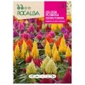 Celozja pierzasta Pampas Plume Mixed o efektownych intensywnie wybarwionych kwiatostanach nasiona 2 g - Rocalba
