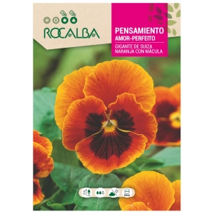 Bratek Giant Swiss Pansy Orange with Spot o efektownych kwiatach nasiona 0,5 g - Rocalba