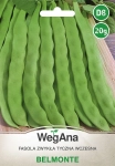 Fasola zwykła tyczna wczesna Belmonte 20g - WegAna