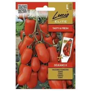 Pomidor Delikano H bardzo plenna odmiana nasiona 0,1 g - Lucia Elite