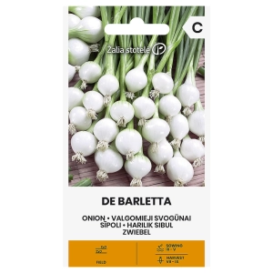 Cebula De Barletta odmiana bardzo plenna o smacznym szczypiorze nasiona 2 g - Žalia stotelė