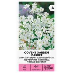 Gipsówka wytworna Covent Garden Market odmiana tworzy liczne bardzo liczne białe kwiaty nasiona 1 g - Žalia stotelė