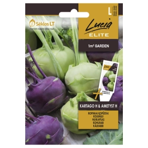 Kalarepa Kartago H & Ametyst H plenne i smaczne odmiany nasiona 0,4 g - Lucia Elite
