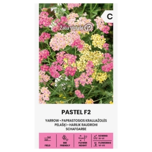 Krwawnik Pastel F2 odmiana tworzy efektowne pastelowe kwiatostany nasiona 0,2 g - Žalia stotelė