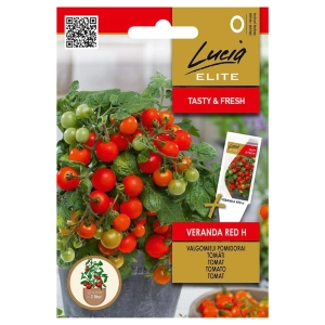 Pomidor Veranda Red H bardzo plenna odmiana do uprawy w pojemnikach nasiona 10 szt. - Lucia Elite