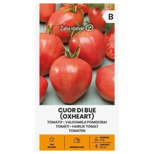 Pomidor Oxheart Cuor di Bue odmiana o dużych czerwonych owocach typu bawole serce nasiona 0,1 g - Žalia stotelė