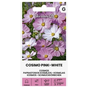 Kosmos podwójnie pierzasty Cosimo Pink-White odmiana o dwukolorowych kwiatach nasiona 20 szt. - Žalia stotelė