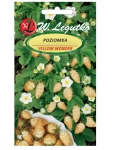Poziomka Yellow Wonder nasiona 0.1g - W. Legutko