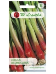 Cebula Siedmiolatka Red Toga nasiona 2g - W. Legutko