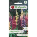 Łubin trwały ogrodowy Russel mieszanka nasiona 2g - W. Legutko