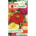 Cynia wytworna Super Yoga nasiona 1g - W. Legutko