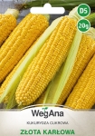 Kukurydza cukrowa Złota Karłowa 20g - WegAna