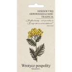 Wrotycz pospolity nasiona 0,2g - W. Legutko