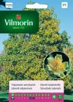 Tulipanowiec amerykański nasiona 1g - VILMORIN