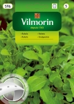 Rukola Jednoroczna nasiona na  taśmie 7m - VILMORIN 