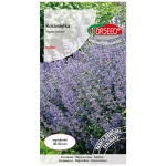 Kocimiętka nasiona 0,5g - TORSEED