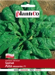 Szpinak Asta mieszaniec F1 nasiona 10g - Plantico