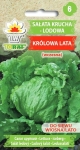 Sałata Królowa Lata Krucha Lodowa 1g - TORAF