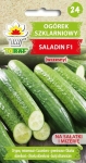 Ogórek pod osłony Saladin F1 nasiona 1g - TORAF