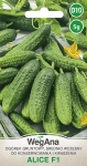  Ogórek konserwowy gruntowy  Alice F1 5g - WegAna