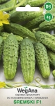 Ogórek gruntowy Śremski F1 4g - WegAna
