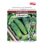 Ogórek gruntowy Soplica nasiona na taśmie 5m - Plantico