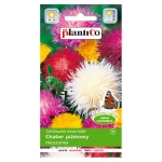 Chaber piżmowy nasiona 1g - PlantiCo