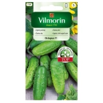 Ogórek gruntowy Octopus F1 nasiona 1,5g - VILMORIN