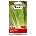 Sałata rzymska długolistna Liwia nasiona 1g - PlantiCo