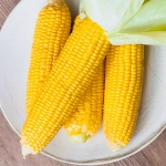 Kukurydza cukrowa Gucio F1 nasiona 10g - Spójnia