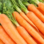 Marchew Amsterdam 3 nasiona 5g DUŻA PACZKA - Raj Ogrodnika