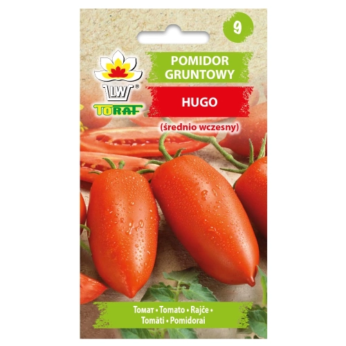 Pomidor gruntowy Hugo nasiona 0,3g - TORAF