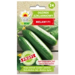 Ogórek szklarniowy Melany F1 nasiona 1g - TORAF