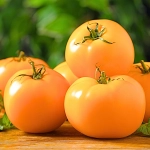 Pomidor Jantar nasiona 0,2g - POLAN