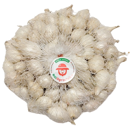 Cebula Dymka Biała White Globe do sadzenia 250g wiosenna