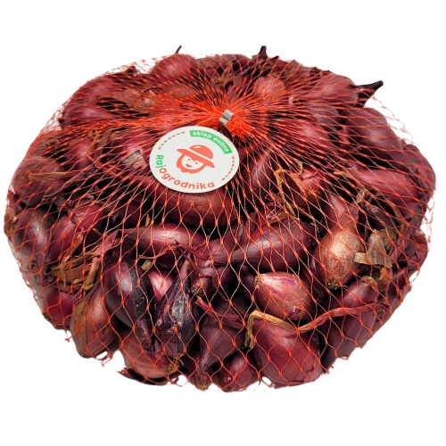 Cebula Dymka Czerwona KARMEN do sadzenia 250g WIOSENNA