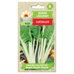 Burak liściowy Lucullus nasiona 5g - TORAF