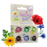 Feelings Box Bomby kwiatowe 6 szt. Łąka kwietna - TORAF