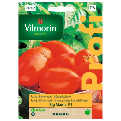 Pomidor szklarniowy wysoki Big Mama F1 nasiona 15szt. - VILMORIN