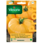 Pomidor szklarniowy wysoki Orange Wellington F1 nasiona 15szt. - VILMORIN 